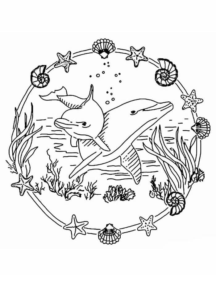 Mandalas Dauphin 17